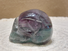Fluoriet human skull