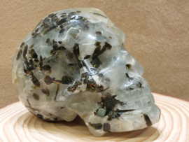 Prehniet human skull