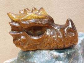 Tijgeroog draak
