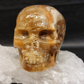 Chocolade calciet/aragoniet human skull