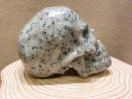 Kiwi jaspis human skull