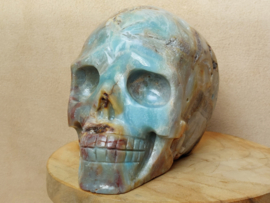 Blue carribean calciet human skull