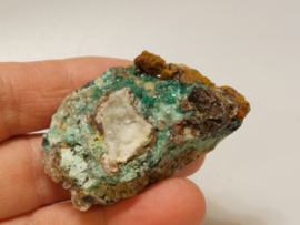 Rosasiet cluster, Ojuela mijn, Durango, Mexico