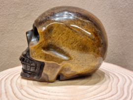 Tijgeroog human skull
