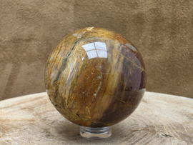 Versteend hout bol