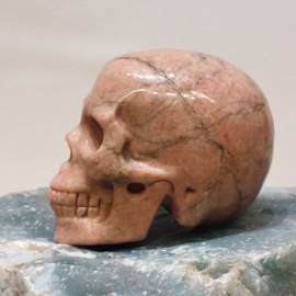 Rhodoniet human skull