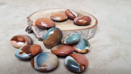 Polychroom jaspis button/platte steen