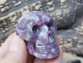 Lepidoliet human skull