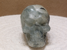 Prehniet human skull