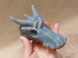 Agaat geode draak