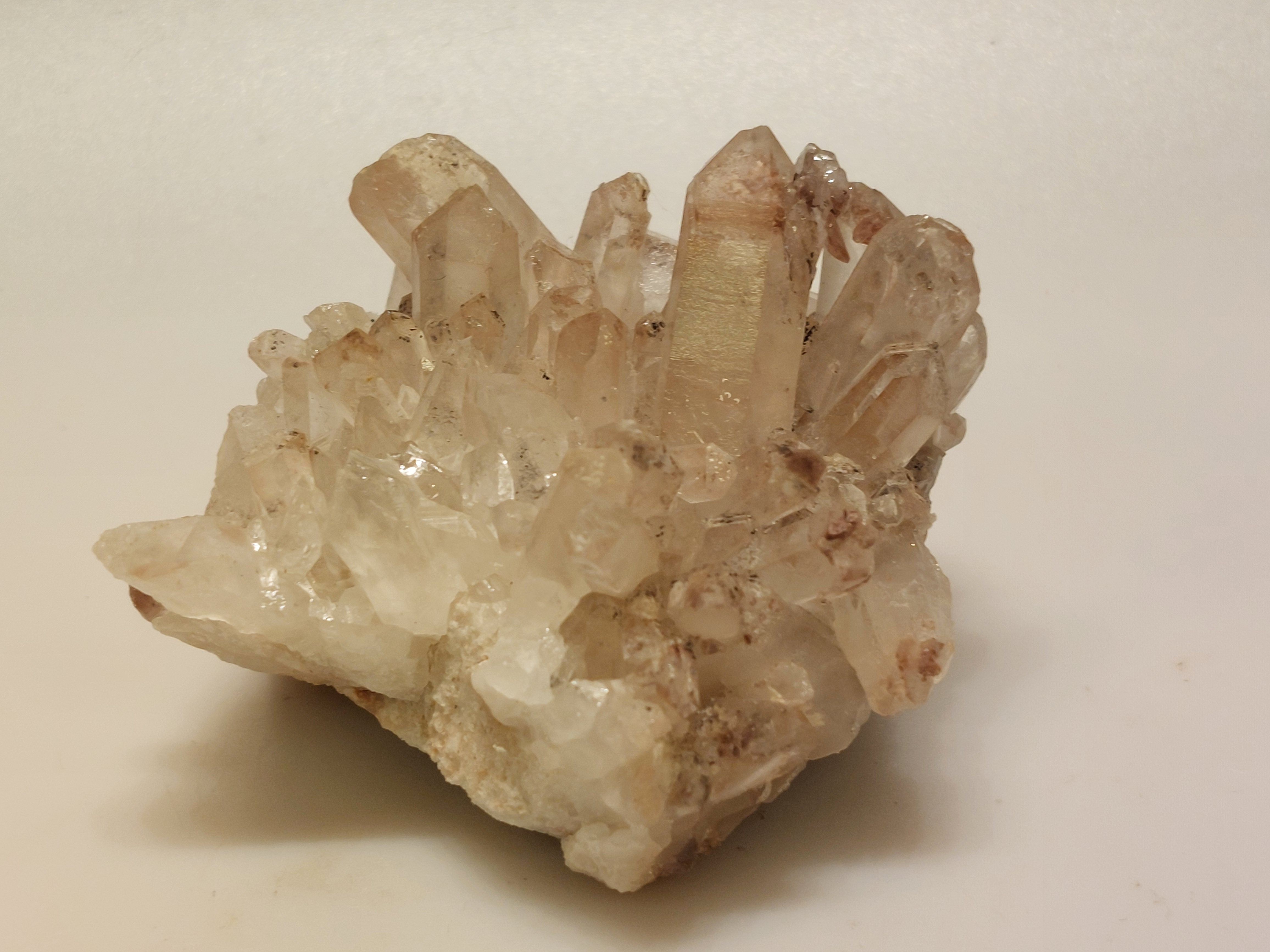 Maria magdalena cluster