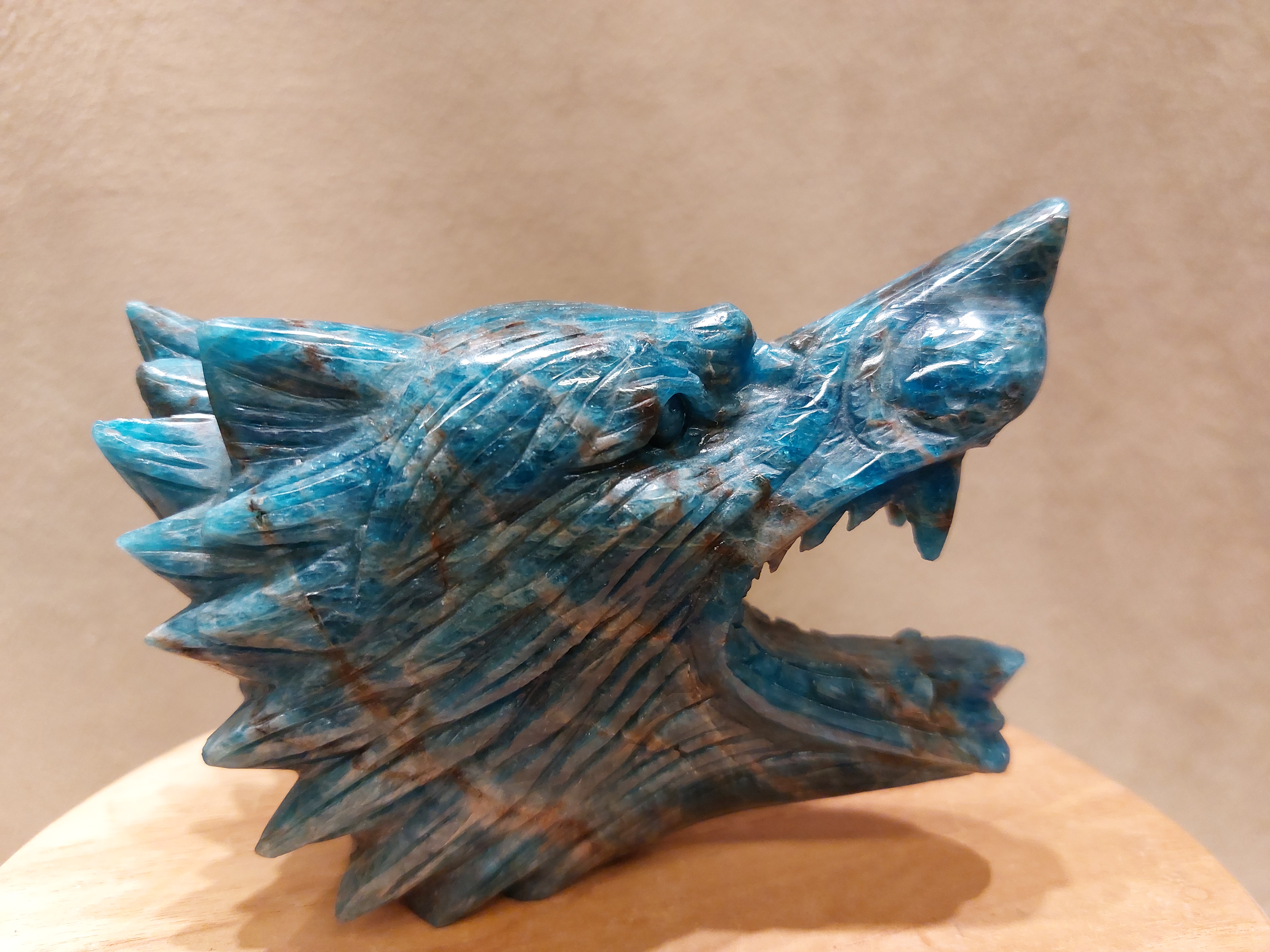 Apatiet wolf