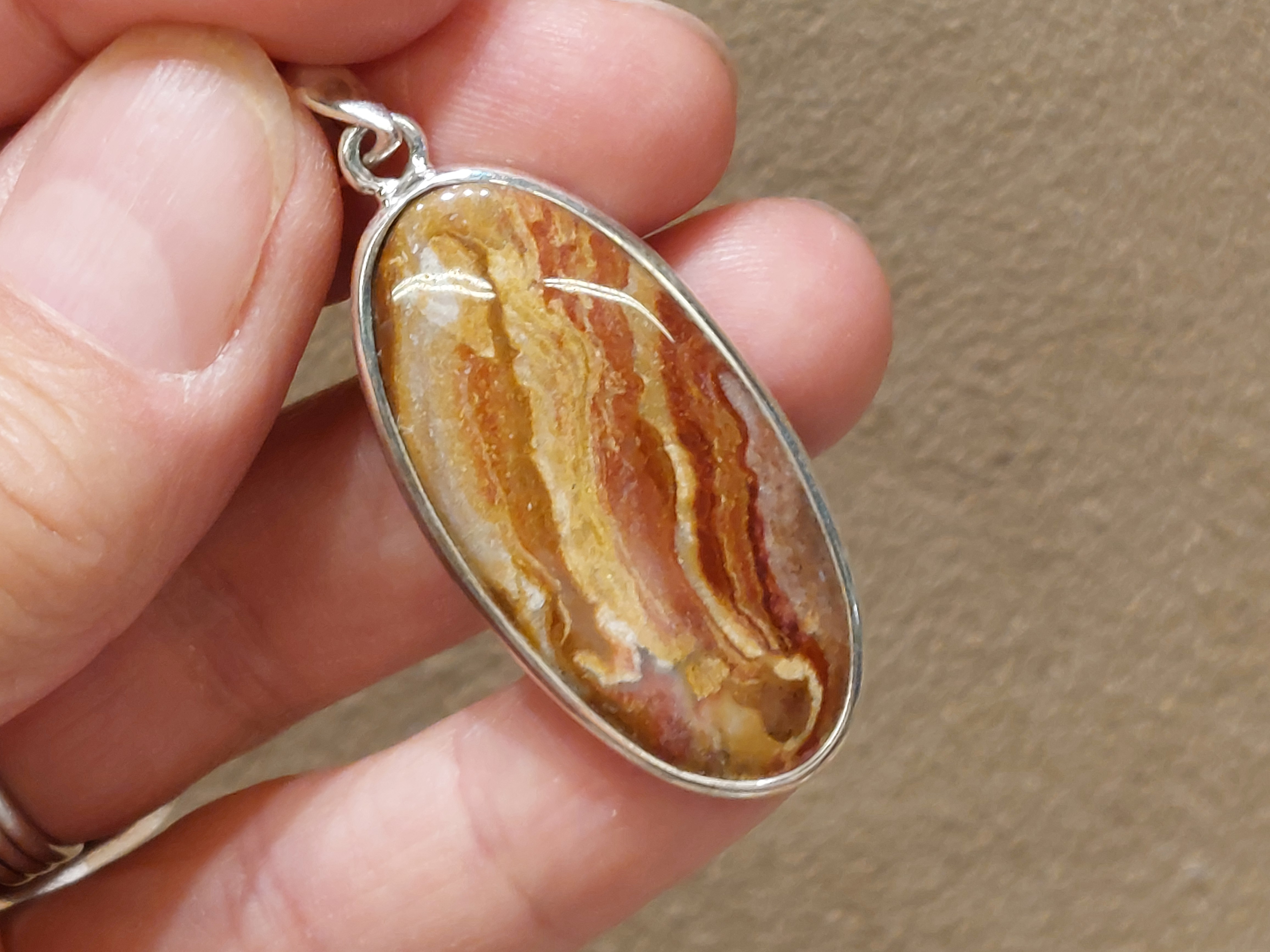 Versteend hout hanger in zilver