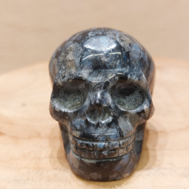 Que sera human skull