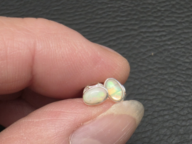 Ethiopisch of welo opaal oorbellen in zilver