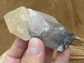 Mariposa calciet uit Mexico