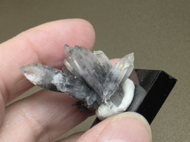 Black phantom kwarts, Vera Cruz, Mexico