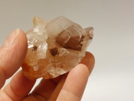 Mariposa calciet uit Mexico