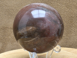 Versteend hout bol