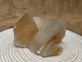 Mariposa calciet uit Mexico