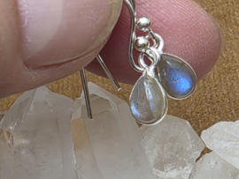 Labradoriet oorbellen in zilver