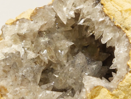 Hondentand calciet uit Marokko
