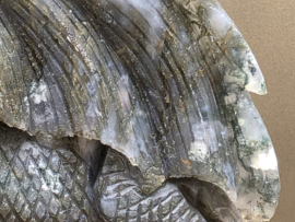 Mosagaat draak full body