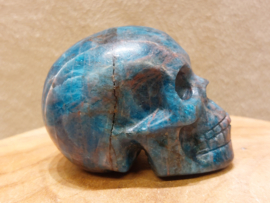 Apatiet human skull