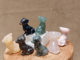 chihuahua diverse steensoorten