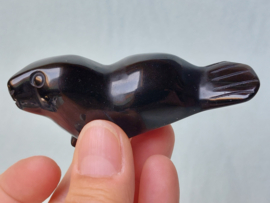 Goud obsidiaan zeehond