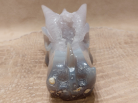 Agaat geode draak