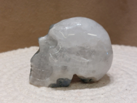 Mosagaat human skull