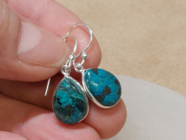 Chrysocolla oorbellen in zilver