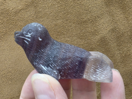 Fluoriet zeehond