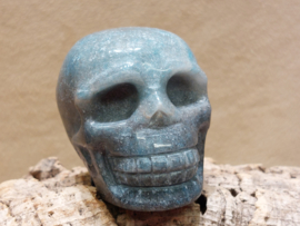 Blauwe paraiba kwarts human skull