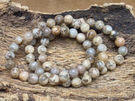 Zebradoriet armband 8 mm