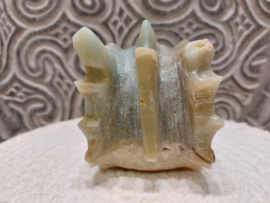 Blue carribean calciet draak