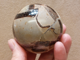 Septarie bol