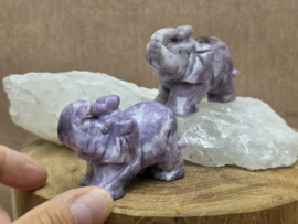 Lepidoliet olifant