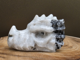 Regenboog maansteen draak