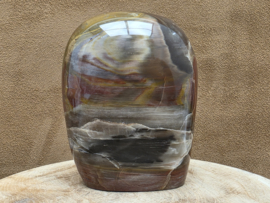 Versteend hout sculptuur