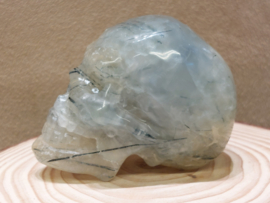 Prehniet human skull