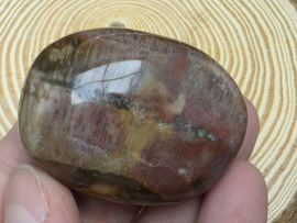 Versteend hout handsteen