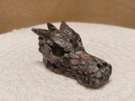 Crinoid fossiel draak