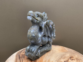 Mosagaat draak full body