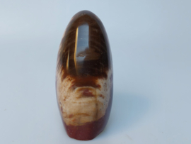 Versteend hout sculptuur