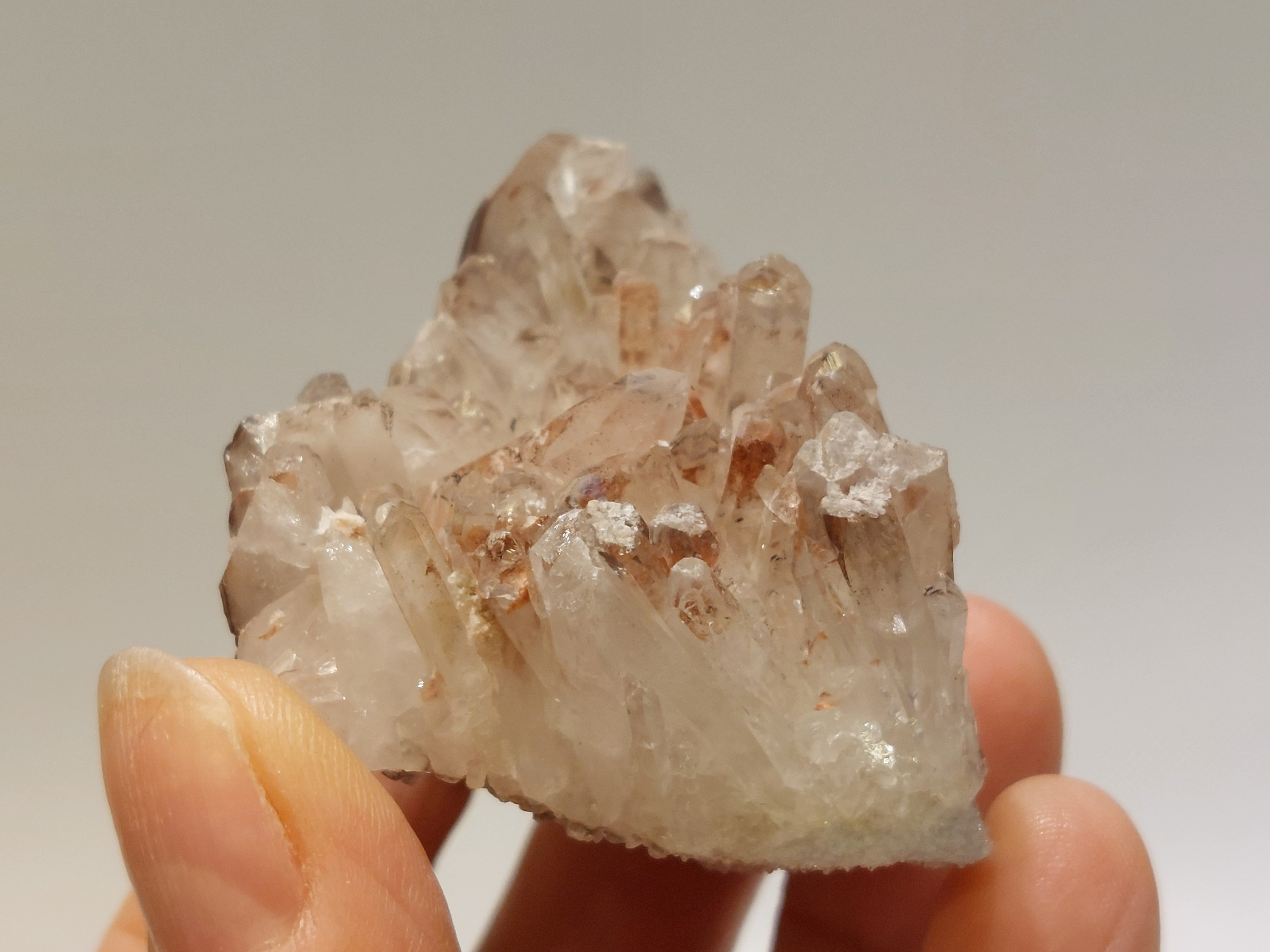 Maria magdalena cluster