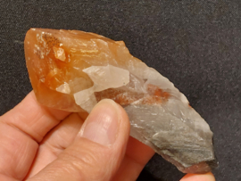 Mariposa calciet uit Mexico