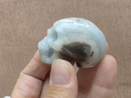 Blue carribean calciet human skull
