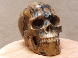 Tijgerijzer human skull